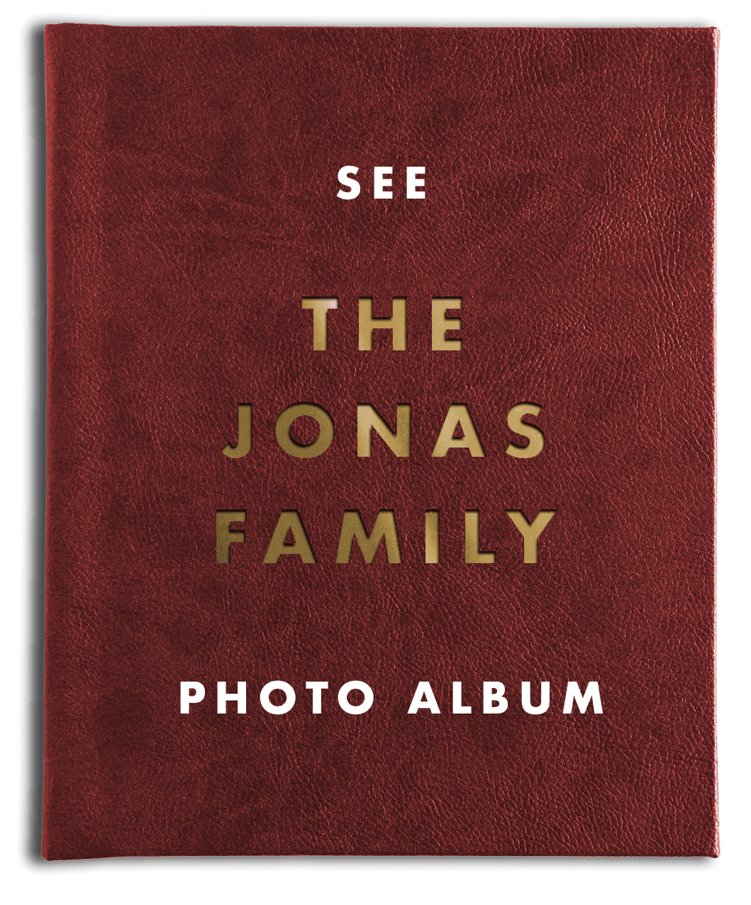 Jonas Group at Nellie's